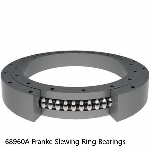 68960A Franke Slewing Ring Bearings #1 small image