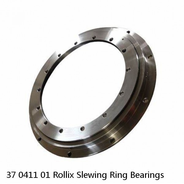 37 0411 01 Rollix Slewing Ring Bearings #1 small image