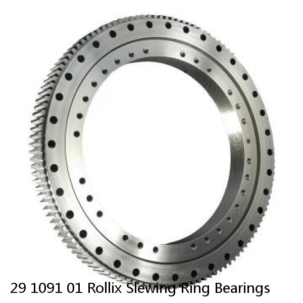 29 1091 01 Rollix Slewing Ring Bearings #1 small image