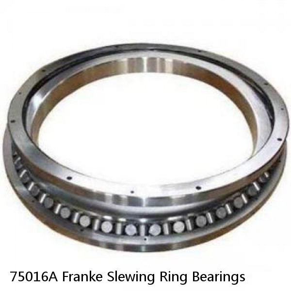 75016A Franke Slewing Ring Bearings #1 small image
