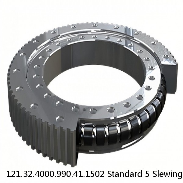 121.32.4000.990.41.1502 Standard 5 Slewing Ring Bearings #1 small image