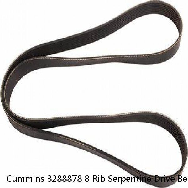 Cummins 3288878 8 Rib Serpentine Drive Belt In Oem Wrapped #1 small image