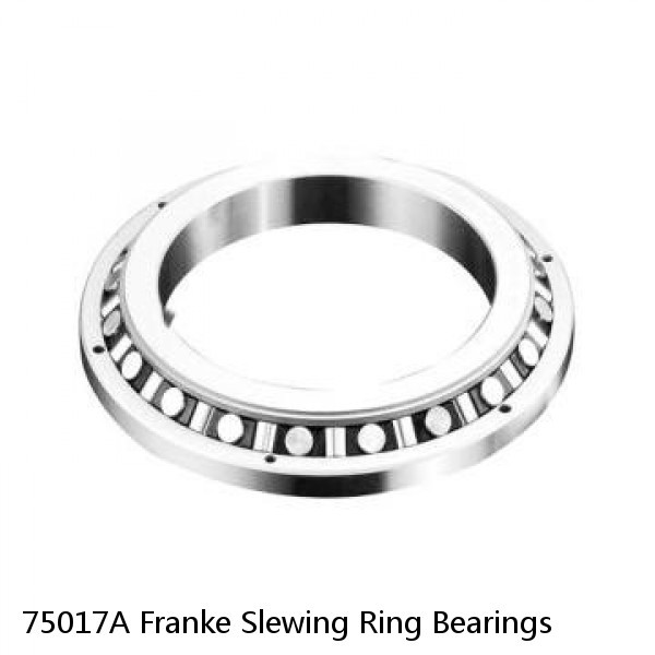 75017A Franke Slewing Ring Bearings #1 image