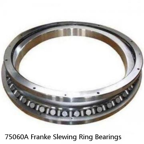 75060A Franke Slewing Ring Bearings #1 image