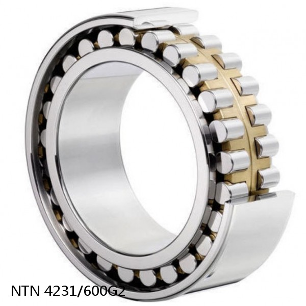 4231/600G2 NTN Cylindrical Roller Bearing #1 image