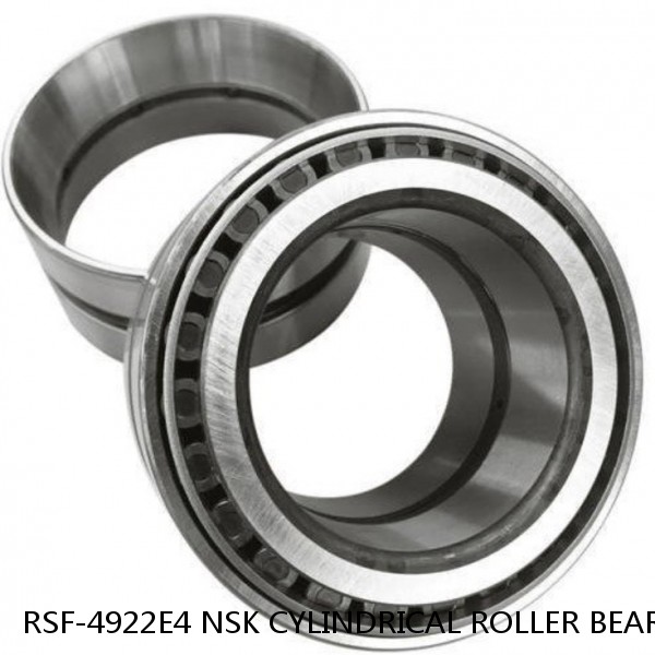 RSF-4922E4 NSK CYLINDRICAL ROLLER BEARING #1 image