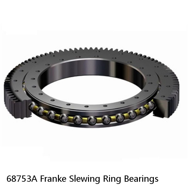 68753A Franke Slewing Ring Bearings #1 image