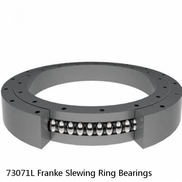 73071L Franke Slewing Ring Bearings #1 image