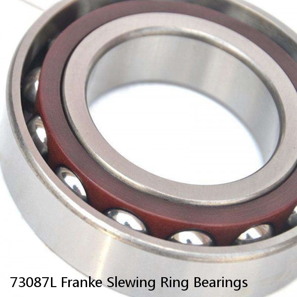 73087L Franke Slewing Ring Bearings #1 image