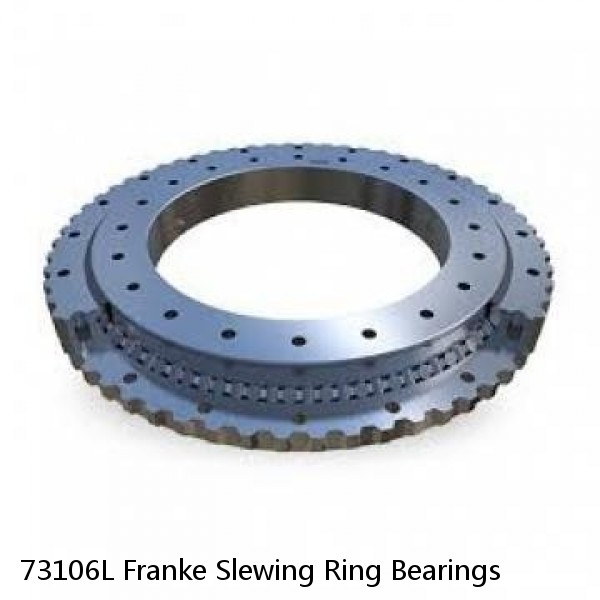 73106L Franke Slewing Ring Bearings #1 image