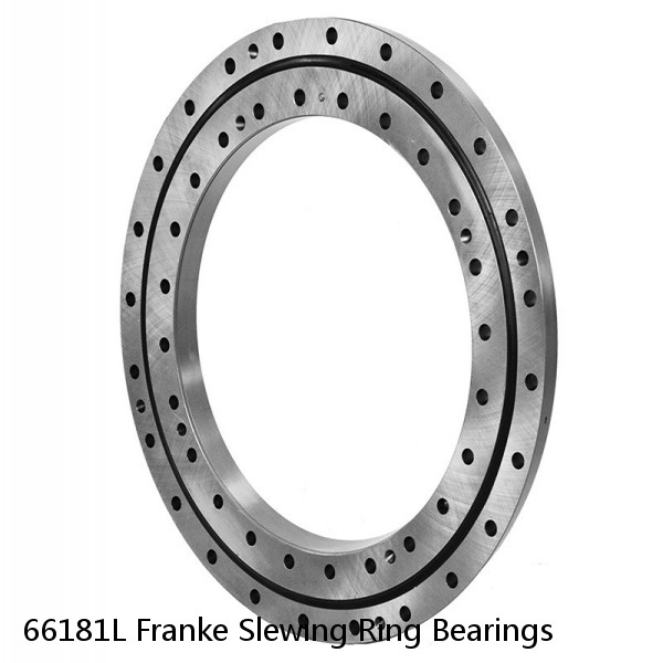 66181L Franke Slewing Ring Bearings #1 image