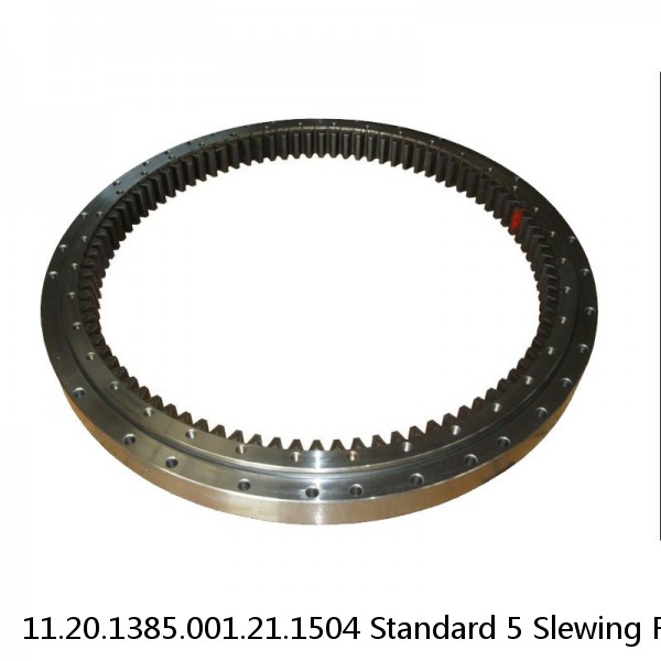 11.20.1385.001.21.1504 Standard 5 Slewing Ring Bearings #1 image