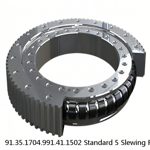 91.35.1704.991.41.1502 Standard 5 Slewing Ring Bearings #1 image