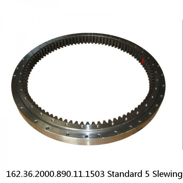 162.36.2000.890.11.1503 Standard 5 Slewing Ring Bearings #1 image