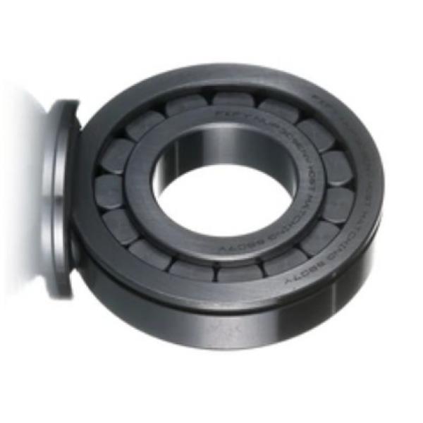 Quality Four Point Angular Contact Ball Bearing for America Germany UK (7910 7010 7210) #1 image