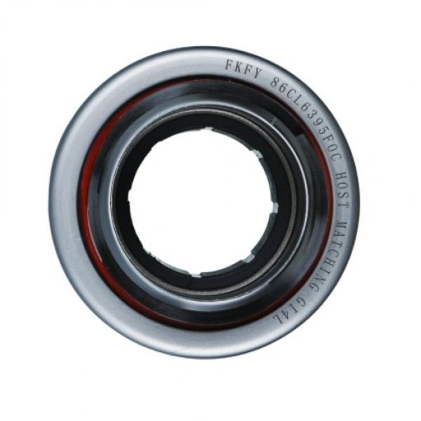 japan nsk bearings 6203 deeo groove ball bearing 6203ddu #1 image