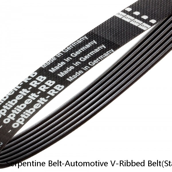 Serpentine Belt-Automotive V-Ribbed Belt(Standard) Roadmax 6K612AP (Fits: Volkswagen) #1 image