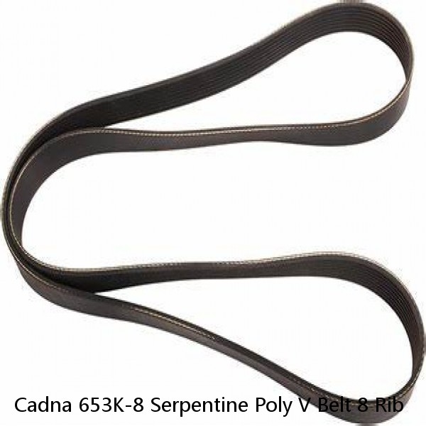 Cadna 653K-8 Serpentine Poly V Belt 8 Rib #1 image