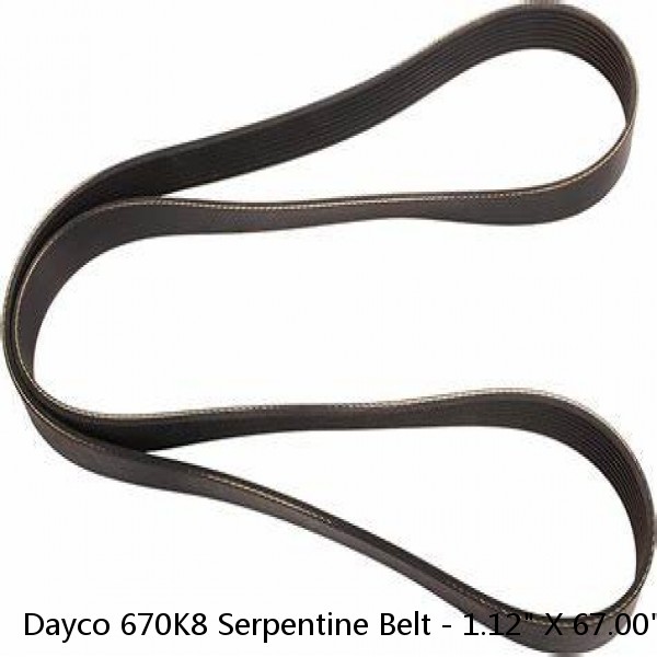 Dayco 670K8 Serpentine Belt - 1.12" X 67.00" - 8 Ribs #1 image