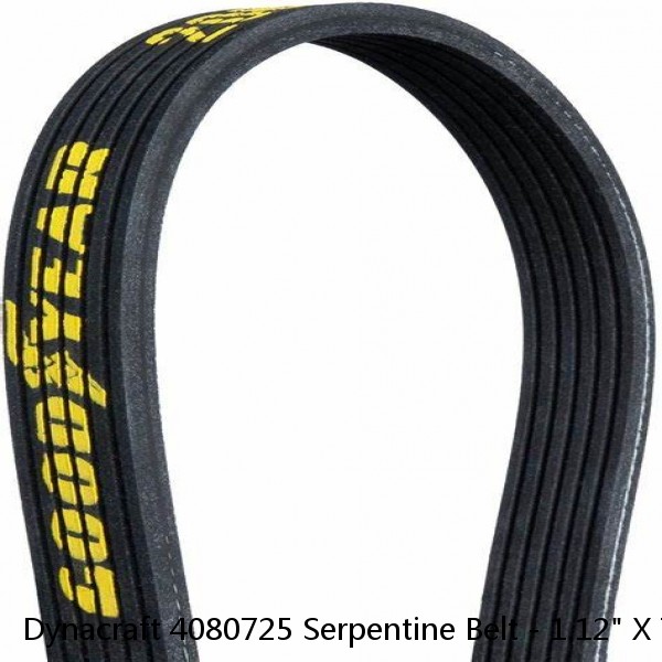 Dynacraft 4080725 Serpentine Belt - 1.12" X 72.50" - 8 Ribs #1 image